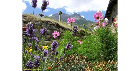 ete-termignon-la-vanoise1