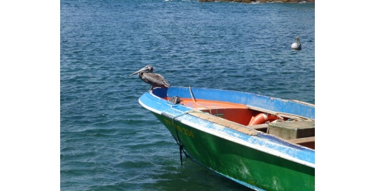 Les Saintes Guadeloupe