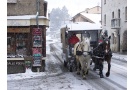 trotti-bus